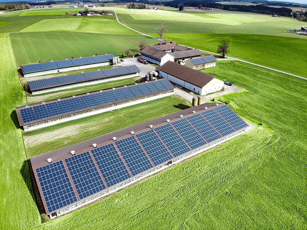 20200624 02093622 2c27 4ca3 83ce F46413b12fc8 1 105 C Edit