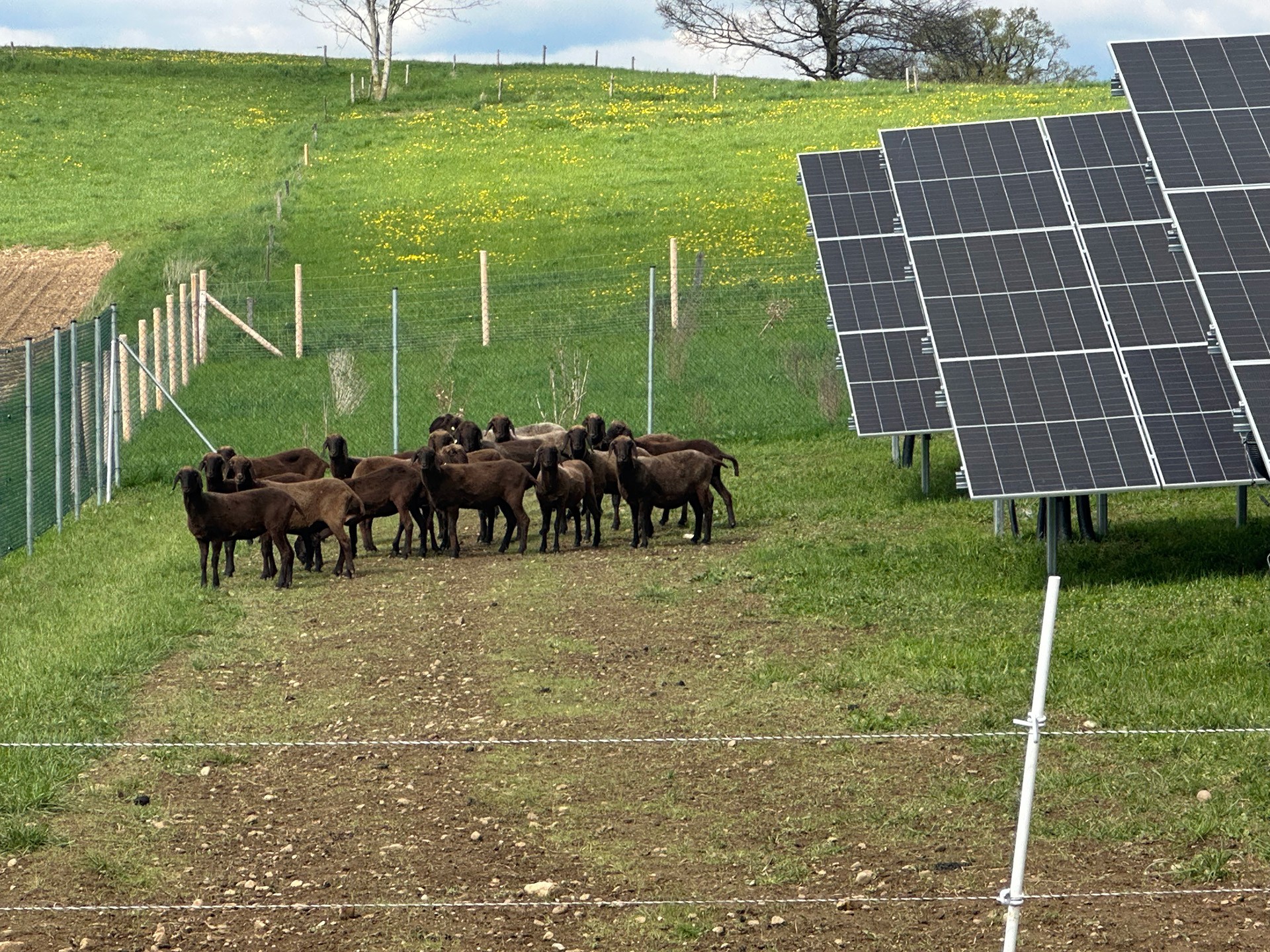 Referenz ABEL ReTec FFA Berger Münsing 4