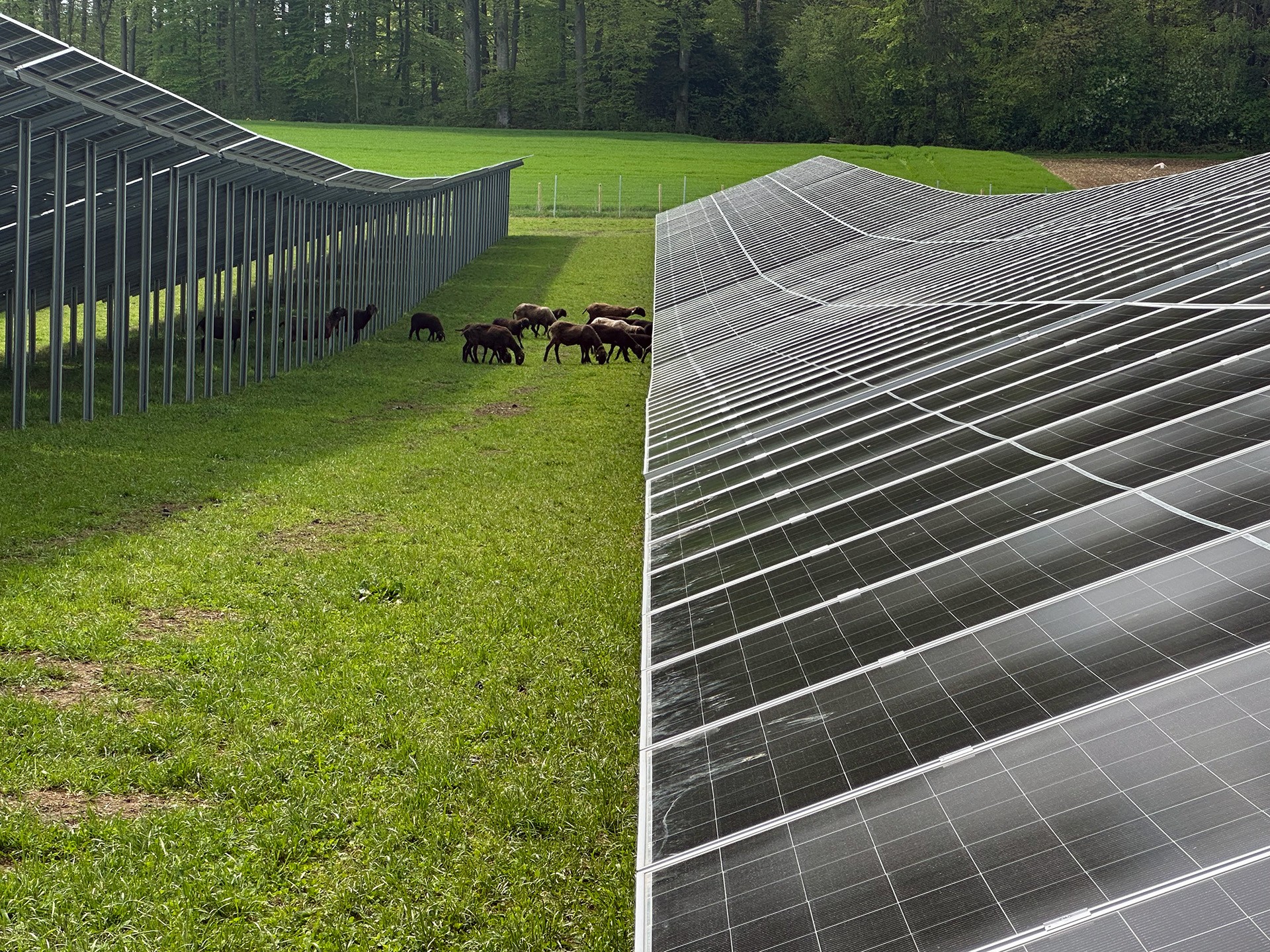 Referenz ABEL ReTec FFA Berger Münsing 5